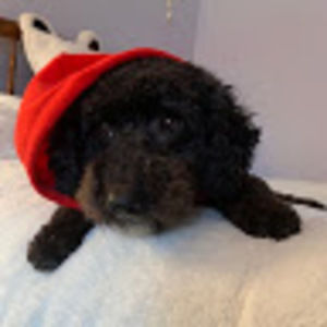 Meet your Posher, Cassie